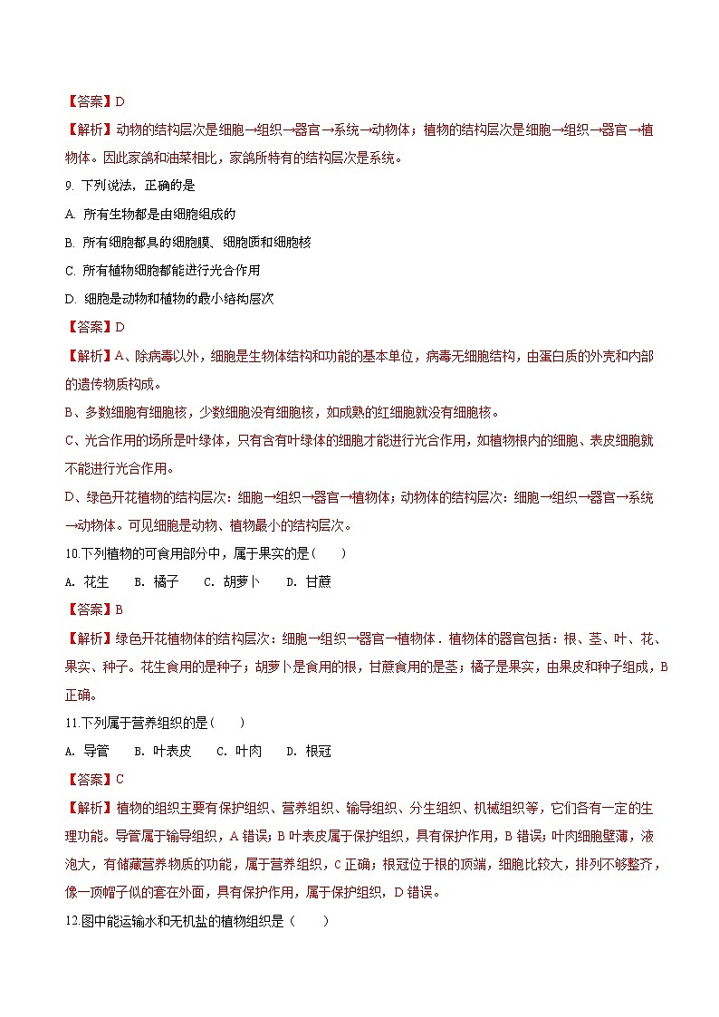 专题03 细胞怎样构成生物体（专题过关练）-2022-2023学年七年级生物上学期期中期末考点大串讲（人教版）03