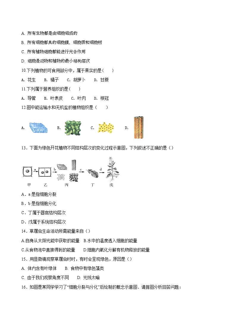 专题03 细胞怎样构成生物体（专题过关练）-2022-2023学年七年级生物上学期期中期末考点大串讲（人教版）02