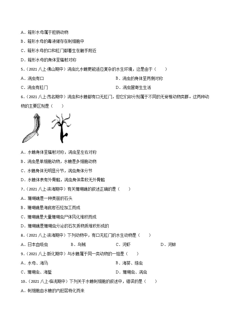 专题01 动物的主要类群（一）（知识梳理 专题过关）-八年级生物上学期期中期末考点大串讲（人教版）02