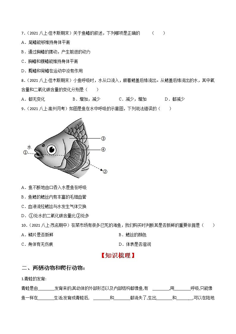 专题02 动物的主要类群（二）（知识梳理 专题过关）-八年级生物上学期期中期末考点大串讲（人教版）03