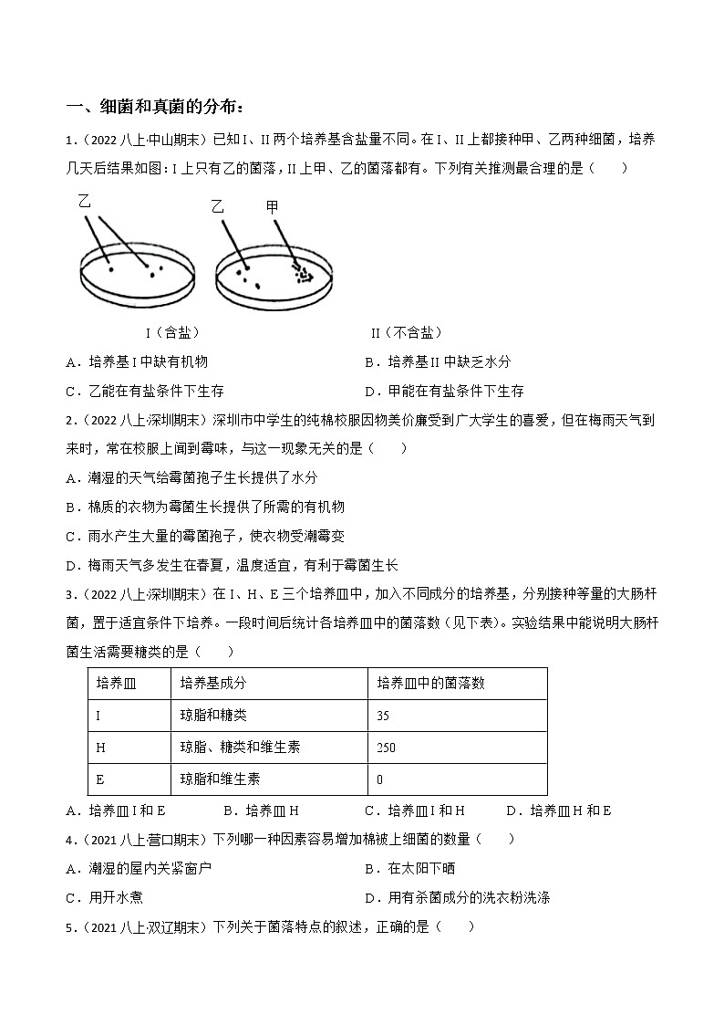 专题04 细菌、真菌和病毒（一）（知识梳理+专题过关）（原卷版）第2页