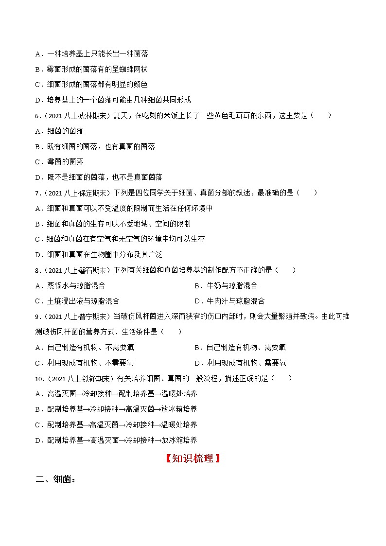 专题04 细菌、真菌和病毒（一）（知识梳理+专题过关）（原卷版）第3页