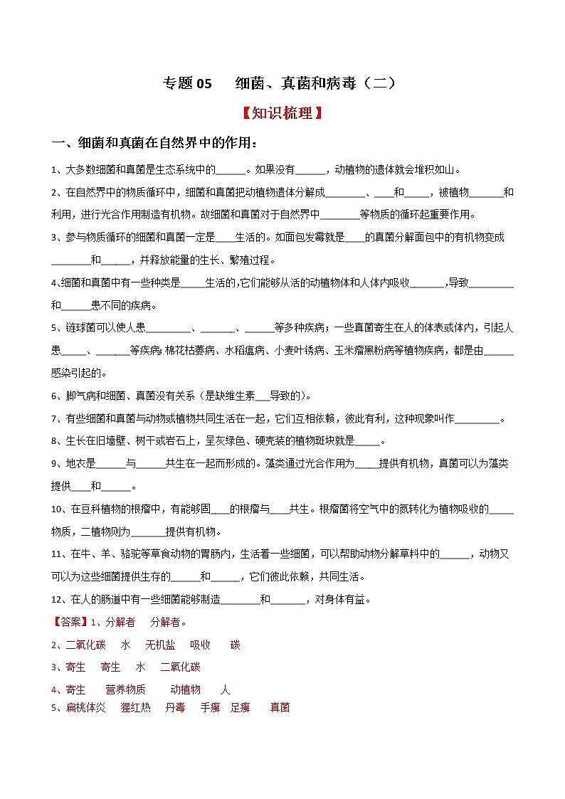 专题05 细菌、真菌和病毒（二）（知识梳理 专题过关）-八年级生物上学期期中期末考点大串讲（人教版）01