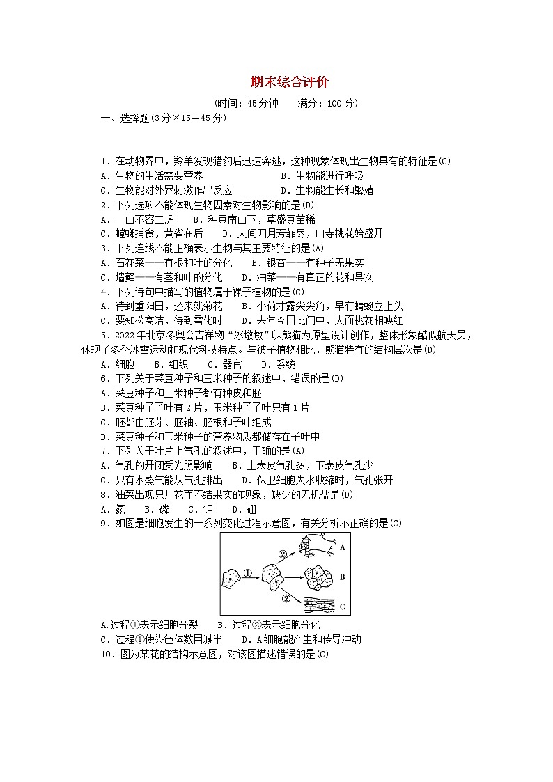 2022七年级生物上学期期末综合评价新版新人教版第1页