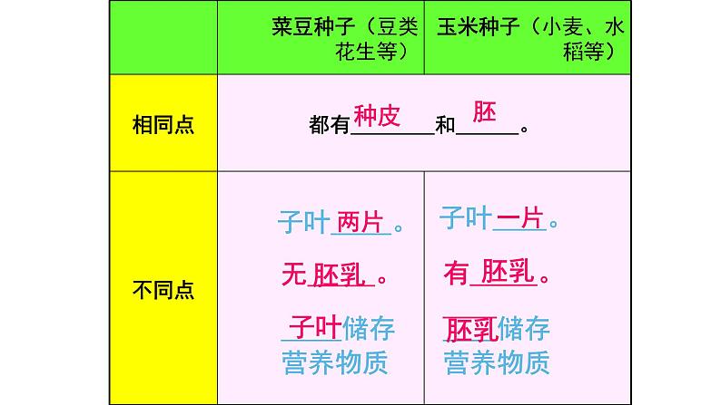 2022年苏教版5.1 种子萌发PPT08