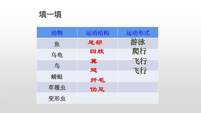 2022年苏教版17.2动物运动依赖一定的结构PPT08