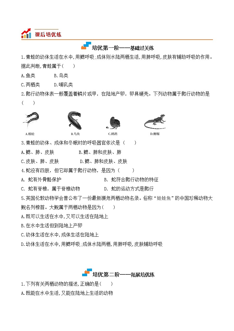 【培优分级练】人教版生物八年级上册 5.1.5《两栖动物和爬行动物》同步分级练（含解析）02