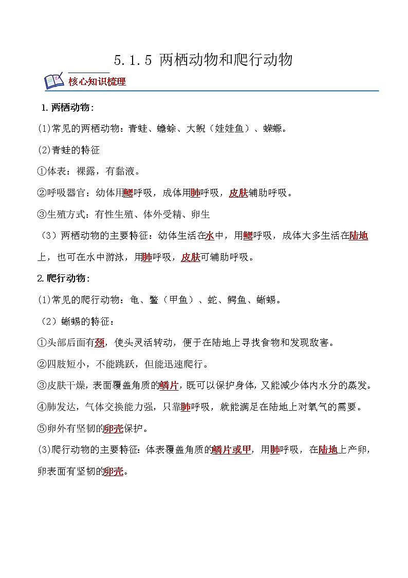 【培优分级练】人教版生物八年级上册 5.1.5《两栖动物和爬行动物》同步分级练（含解析）01