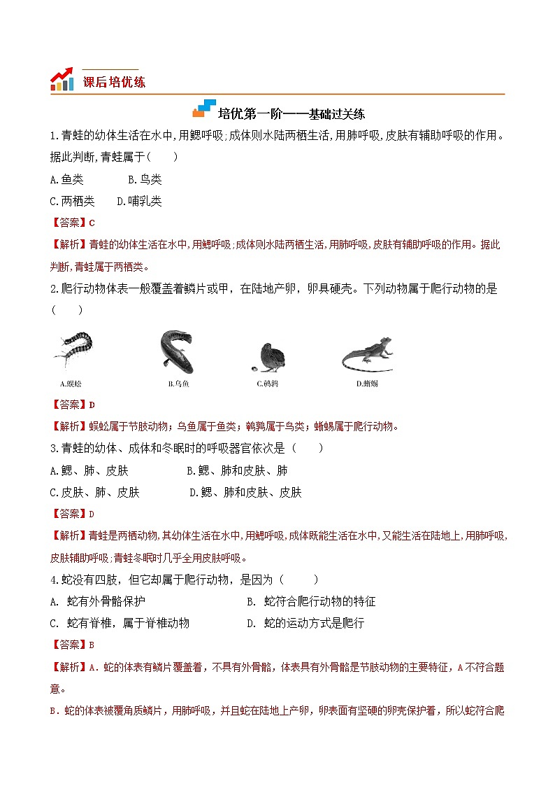 【培优分级练】人教版生物八年级上册 5.1.5《两栖动物和爬行动物》同步分级练（含解析）02