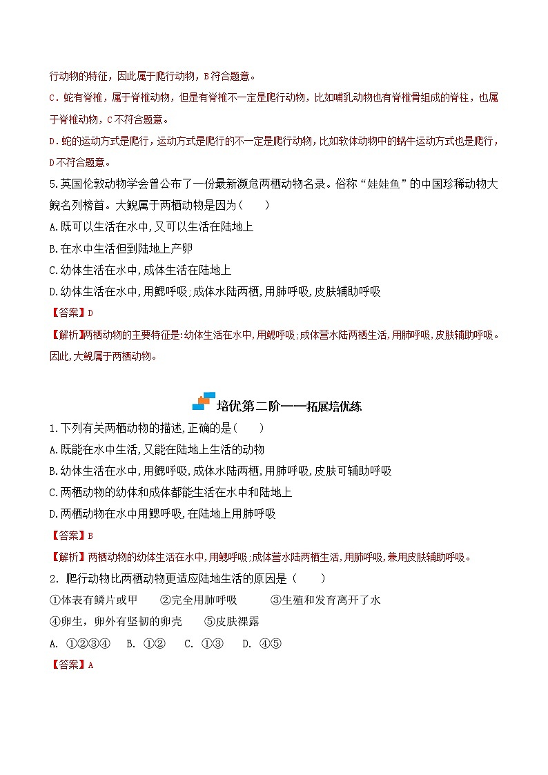 【培优分级练】人教版生物八年级上册 5.1.5《两栖动物和爬行动物》同步分级练（含解析）03