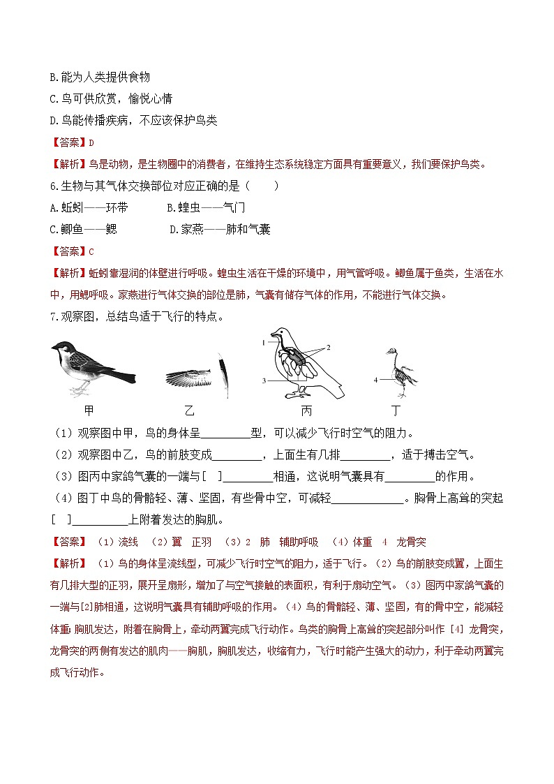 【培优分级练】人教版生物八年级上册 5.1.6《鸟》同步分级练（含解析）03
