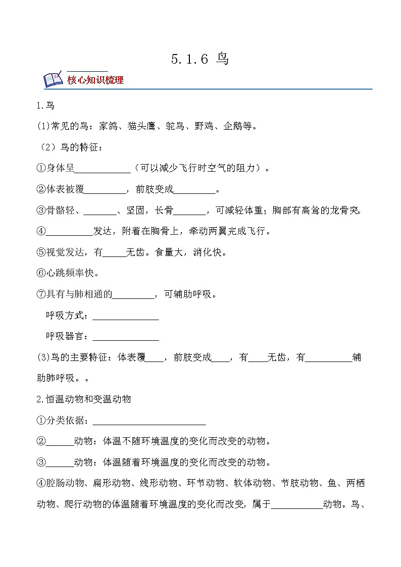 【培优分级练】人教版生物八年级上册 5.1.6《鸟》同步分级练（含解析）01