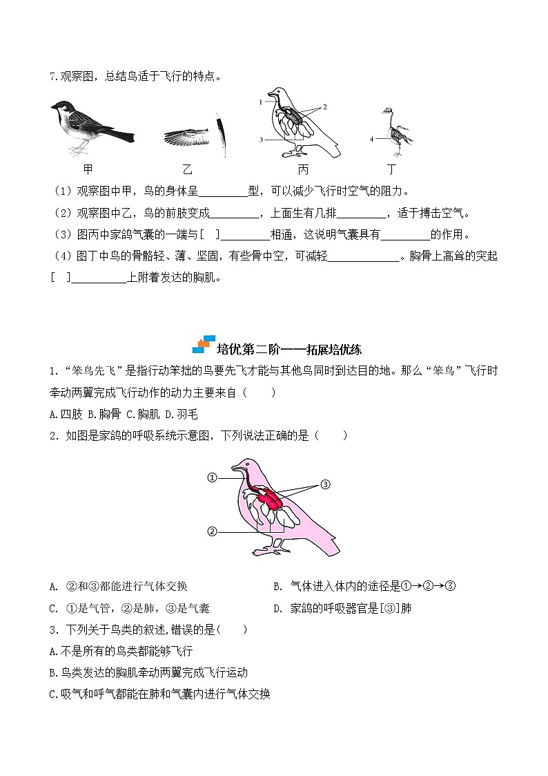 【培优分级练】人教版生物八年级上册 5.1.6《鸟》同步分级练（含解析）03