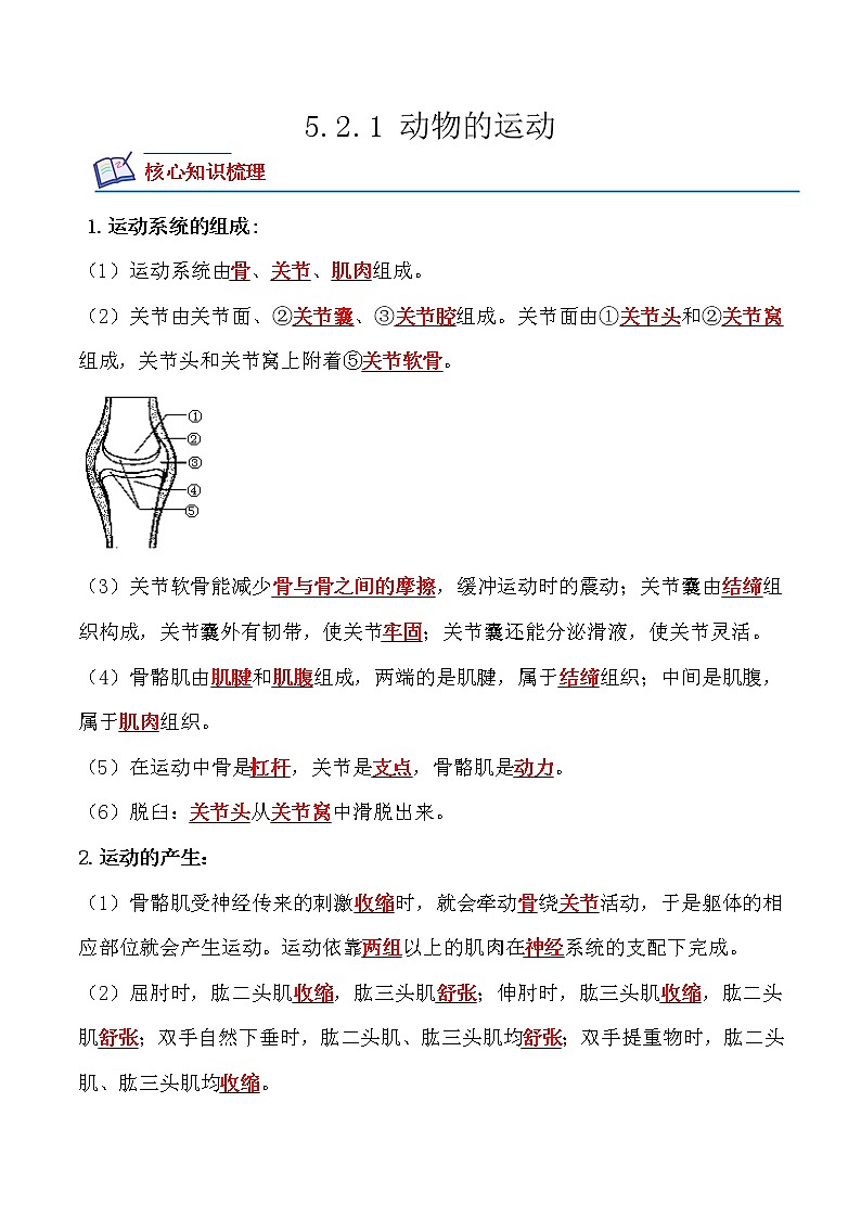 【培优分级练】人教版生物八年级上册 5.2.1《动物的运动》同步分级练（解析版）第1页