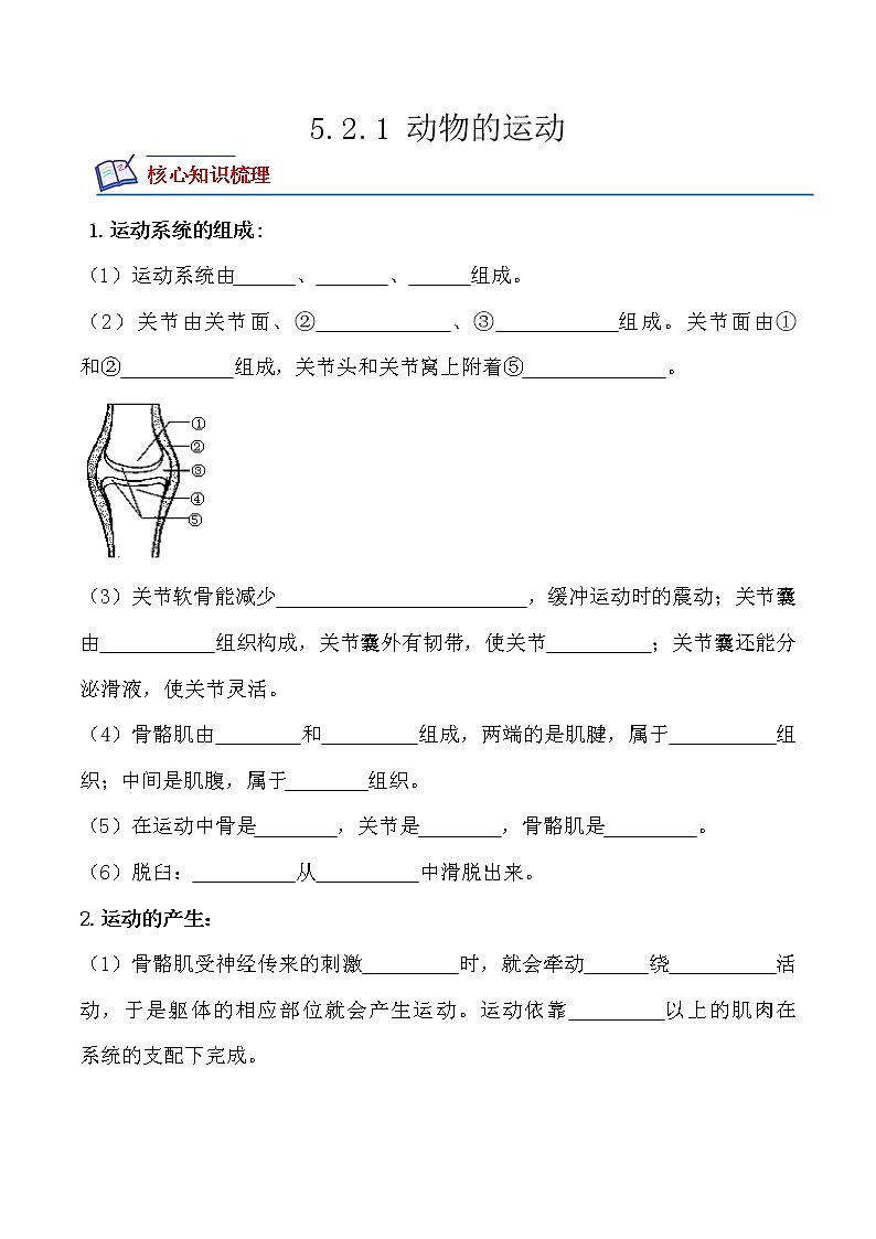 【培优分级练】人教版生物八年级上册 5.2.1《动物的运动》同步分级练（原卷版）第1页