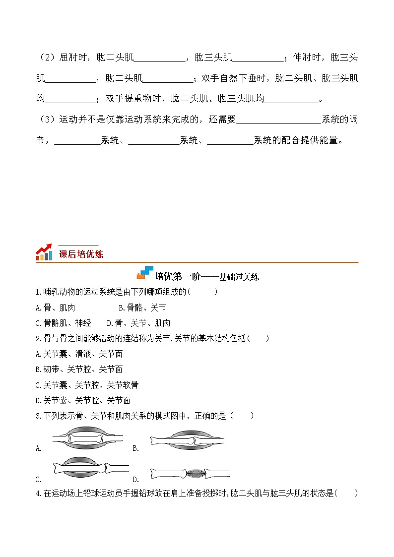 【培优分级练】人教版生物八年级上册 5.2.1《动物的运动》同步分级练（原卷版）第2页