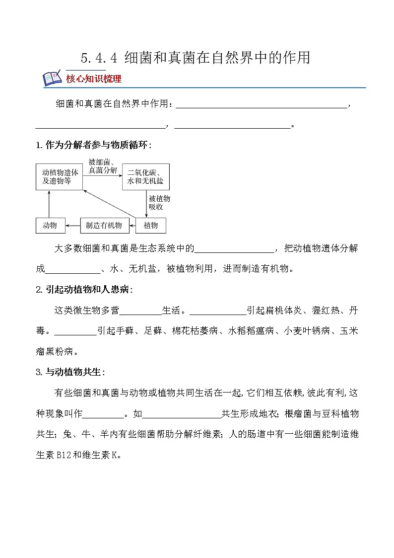 【培优分级练】人教版生物八年级上册 5.4.4《细菌和真菌在自然界中的作用》同步分级练（含解析）01