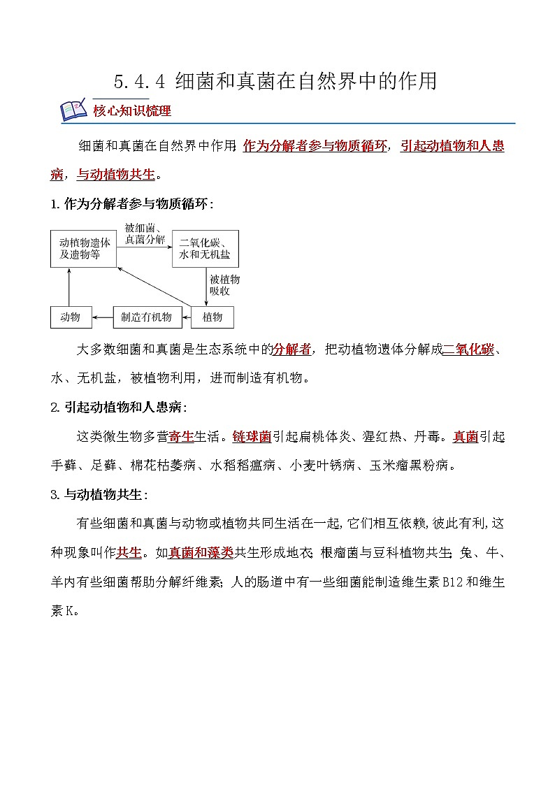 【培优分级练】人教版生物八年级上册 5.4.4《细菌和真菌在自然界中的作用》同步分级练（含解析）01