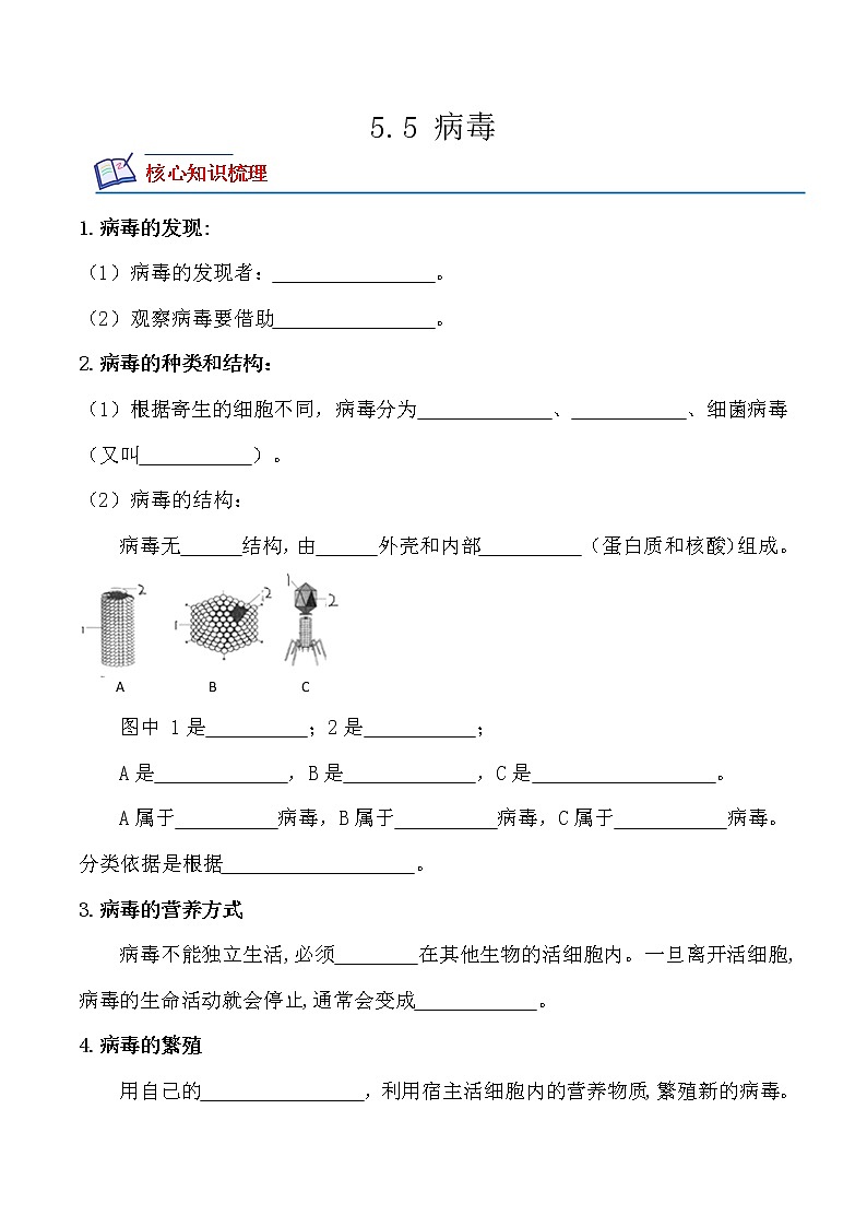 【培优分级练】人教版生物八年级上册 5.5《病毒》同步分级练（原卷版）第1页