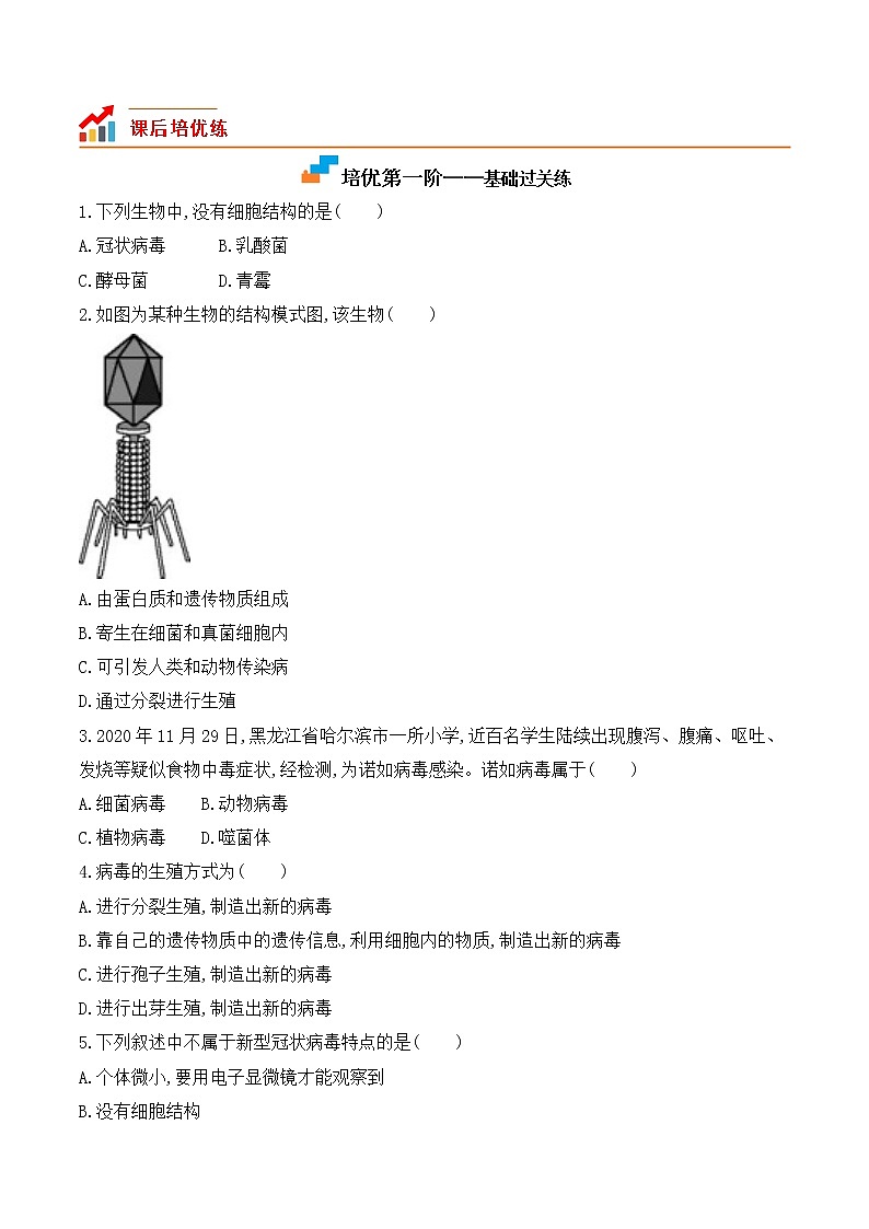 【培优分级练】人教版生物八年级上册 5.5《病毒》同步分级练（原卷版）第2页