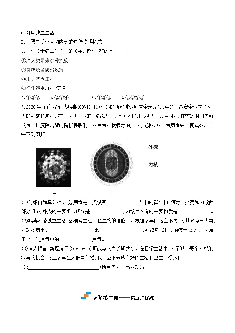 【培优分级练】人教版生物八年级上册 5.5《病毒》同步分级练（原卷版）第3页