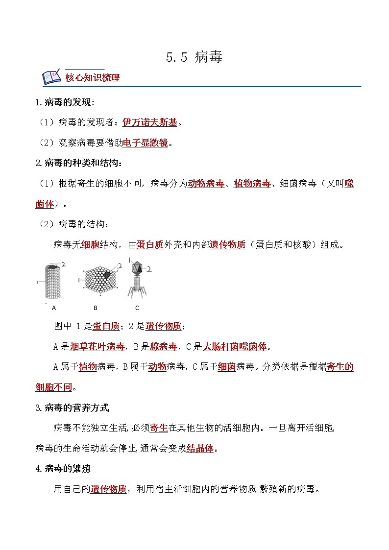 【培优分级练】人教版生物八年级上册 5.5《病毒》同步分级练（解析版）第1页
