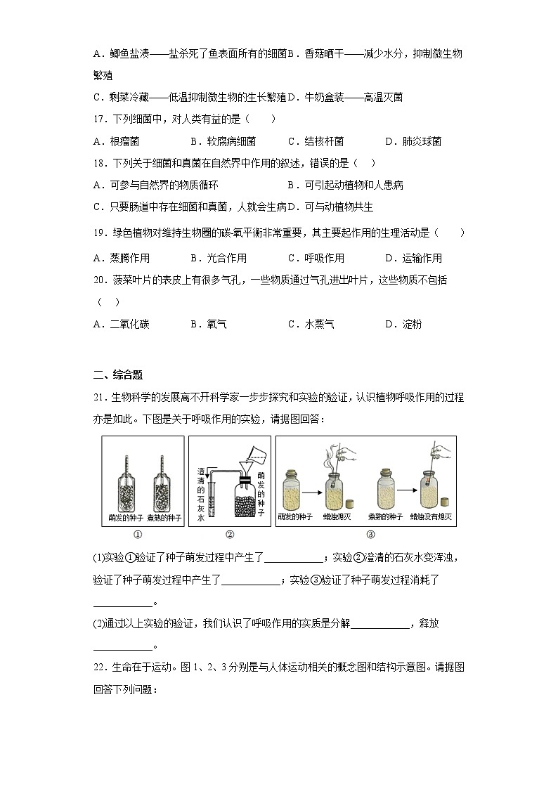 江西省宜春市丰城市丰城中学2022-2023学年八年级上学期期中生物试题(含答案)第3页