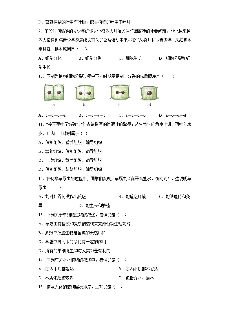 江西省宜春市丰城市丰城中学2022-2023学年七年级上学期期中生物试题(含答案)第2页