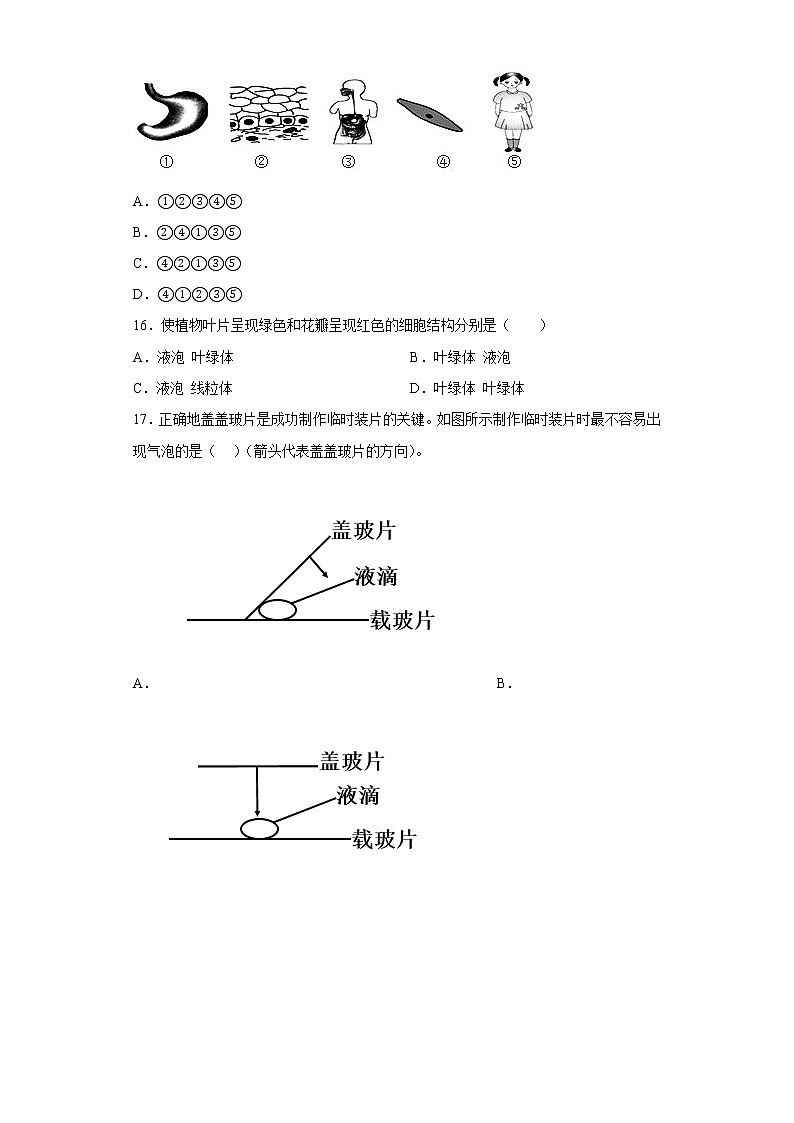 江西省宜春市丰城市丰城中学2022-2023学年七年级上学期期中生物试题(含答案)第3页