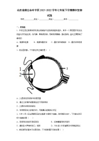 山东省烟台市牟平区2021-2022学年七年级下学期期中生物试题(含答案)