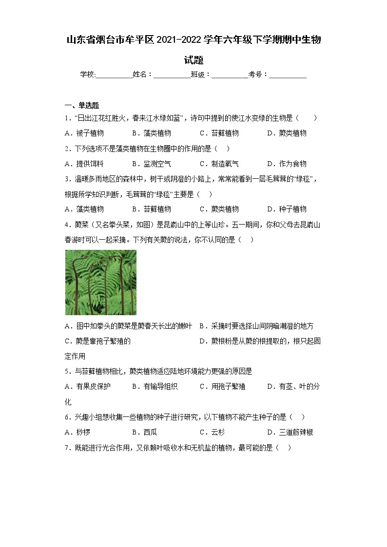 山东省烟台市牟平区2021-2022学年六年级下学期期中生物试题(含答案)01