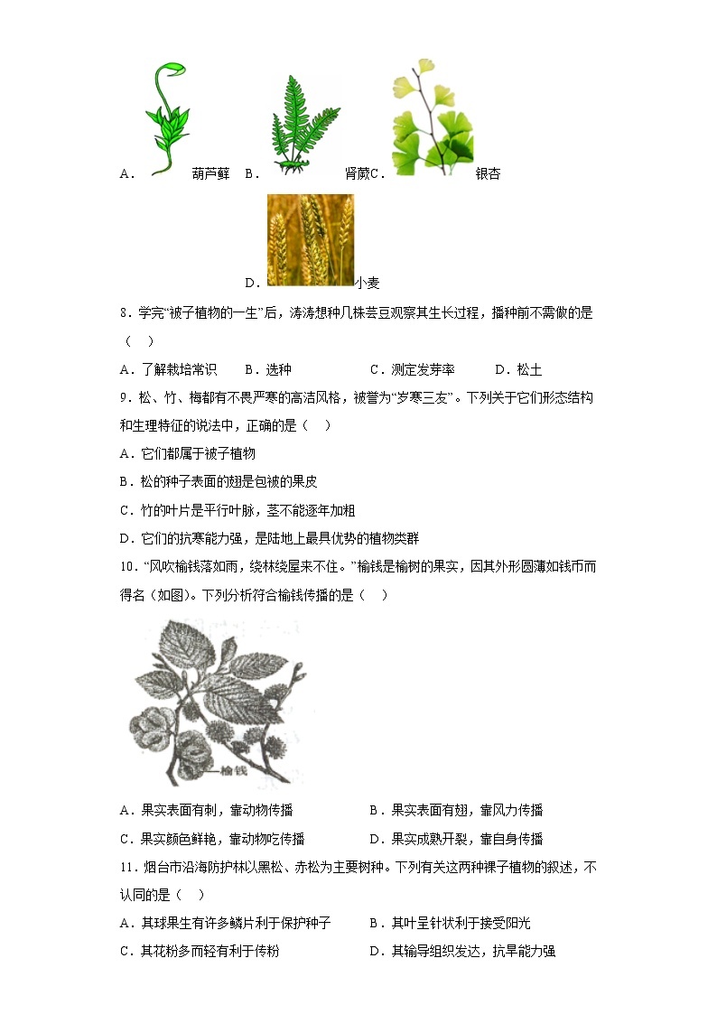 山东省烟台市牟平区2021-2022学年六年级下学期期中生物试题(含答案)02