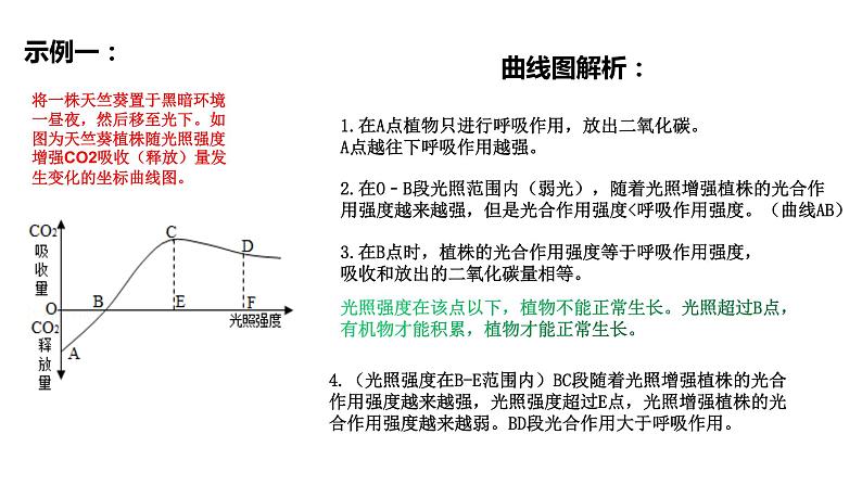 植物的光合作用和呼吸作用坐标曲线等图解复习第1页