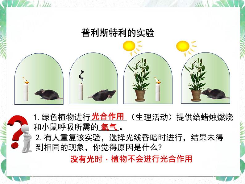 生物圈中的绿色植物第3页