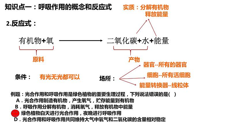 植物的呼吸作用复习第2页