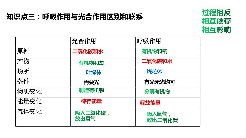 植物的呼吸作用复习第4页