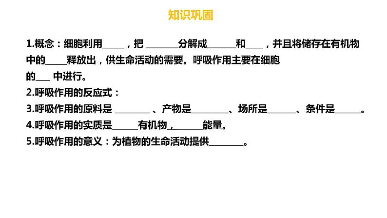 植物的呼吸作用复习第5页