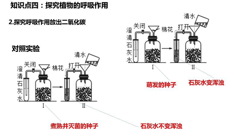 植物的呼吸作用复习第7页