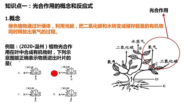 植物的光合作用复习第1页