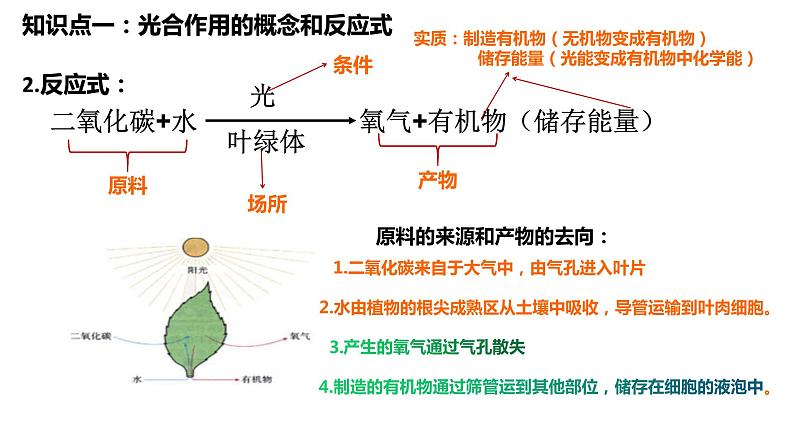 植物的光合作用复习第2页