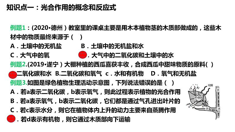 植物的光合作用复习第3页