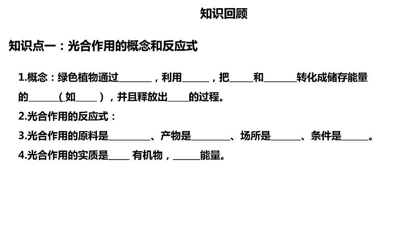 植物的光合作用复习第4页