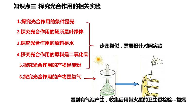 植物的光合作用复习第5页