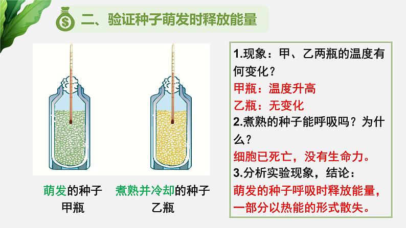 （中考复习课件） 呼吸作用第8页