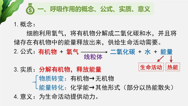 （中考复习课件）呼吸作用第4页