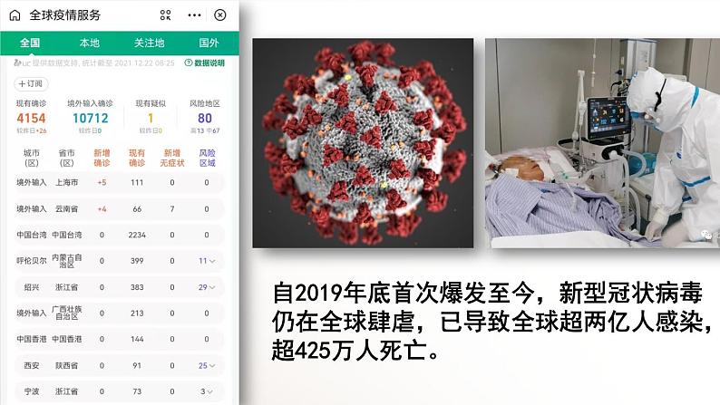 八年级生物 5病毒课件02