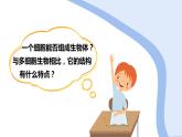 4单细胞生物  七年级生物 课件