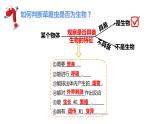 4单细胞生物  七年级生物 课件