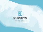 七年级生物 4单细胞生物 课件