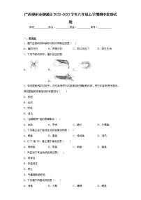 广西柳州市柳城县2022-2023学年八年级上学期期中生物试题(含答案)